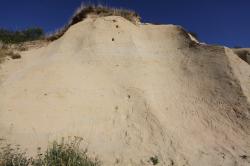 Photo Textures of Sand